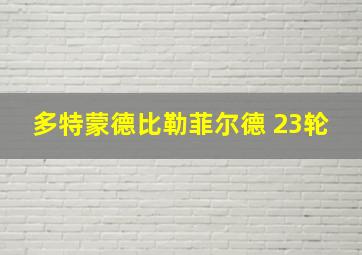 多特蒙德比勒菲尔德 23轮